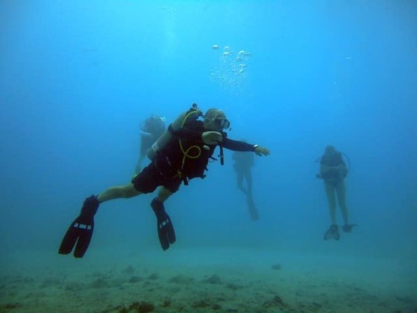 Quels sont les avantages des locations situées dans des zones de conservation marine pour les plongeurs ?
